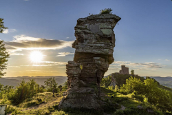 Deutschland-Pfaelzerwald-Fels-im-Sonnenuntergang